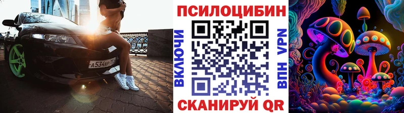 OMG вход Нюрба Галлюциногенные грибы Psilocybe